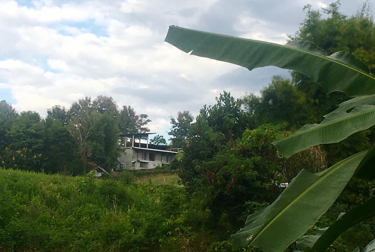 The Lookout Pai Exterior foto
